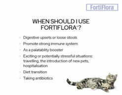 PURINA PRO PLAN Pro Plan Fortiflora Probiotic For Cats -Bayer Shop PPVD Feline Banner 630x490 FortiFlora 3 18653.1690604739