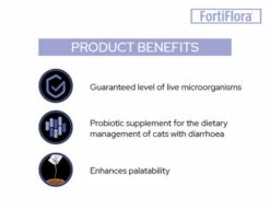 PURINA PRO PLAN Pro Plan Fortiflora Probiotic For Cats -Bayer Shop PPVD Feline Banner 630x490 FortiFlora 4 15905.1690604739