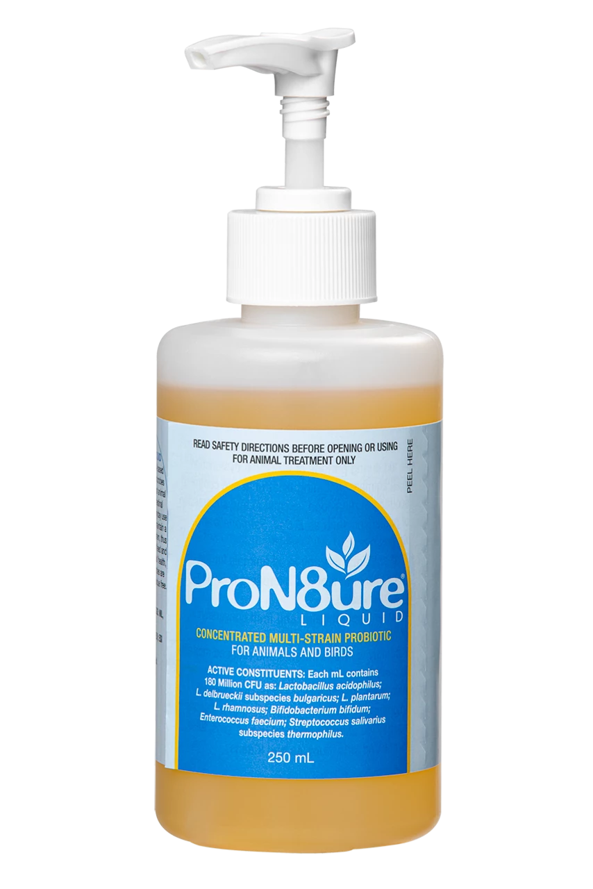 Pron8ure Liquid 250ml + Pump 3 Pron8ure Liquid 250ml + Pump