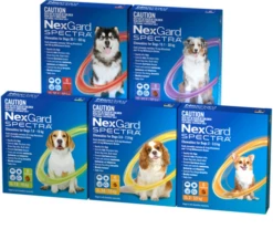 NexGard Spectra For Dogs - 6 Pack