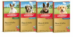 Bayer Advantix For Dogs